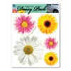 Daisy Flower Pack Magnet by Magnet America Is 8" x
