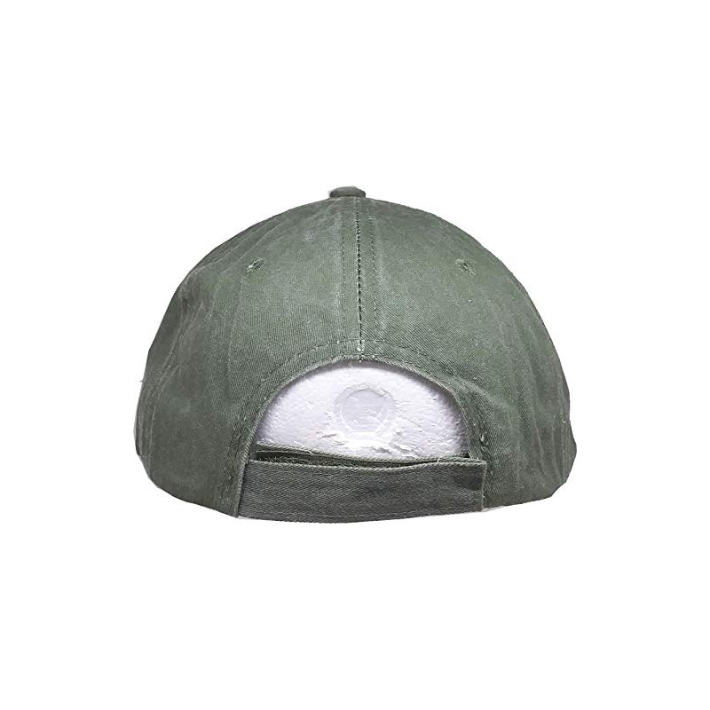 Eagle Crest Military Veteran U.S. Flag Cap, Green, Adjustable