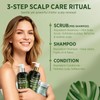 RoyceDerm Rosemary Mint Scalp Scrub for Oily, Flaky & Itchy