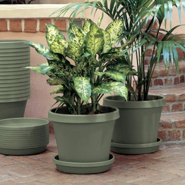 Bloem Terra Pot Planter 8" Living Green