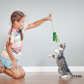 Cat Teething Toys | Felt Silvervine Cat Chew Teething Sticks,Bite Resistant Funny Chewing Sticks Pet Supplies for Kitten Entertainment Boredom Relieving