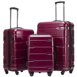 Coolife Luggage Expandable 3 Piece Sets PC+ABS Spinner Suitcase 20 inch 24 inch 28 inch (Radiant Pink., 3 piece set)
