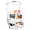 DwellStudio Dustproof Makeup Organizer for Cosmetics and Skincare - Stylish