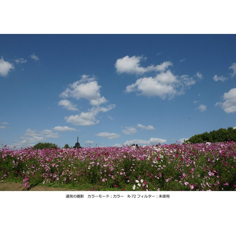 Kenko カメラ用フィルター PRO1D R-72 55mm モノクロ撮影用 325506