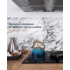Poliviar Modern Kettle Induction Whistling Kettle Stainless Steel Tea Kettle