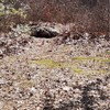 LOOGU Camo Netting, Camouflage Net Blinds Great for Sunshade Camping