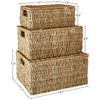 Trademark Innovations Rectangular Seagrass Baskets Lids (Set of 3), Brown