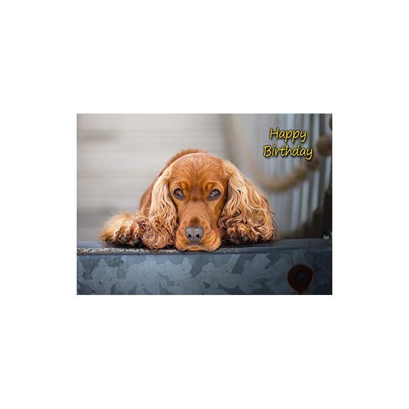 Cocker Spaniel Dog Birthday Card