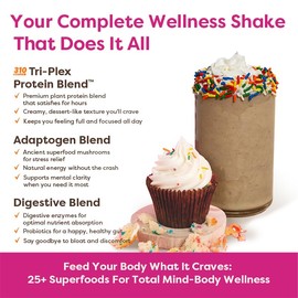 310 Nutrition All-In-One Meal Replacement Shake – Plant-Based Protein, Superfood Blend & Fiber – Natural Sweeteners – Keto & Paleo Friendly – 28 Servings, Vanilla Flavor