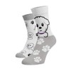BENAMI Funny Socks Various Patterns Cotton Socks for Men and