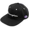 Champion Baseball Cap, Embroidered, Black, One Size Fits All