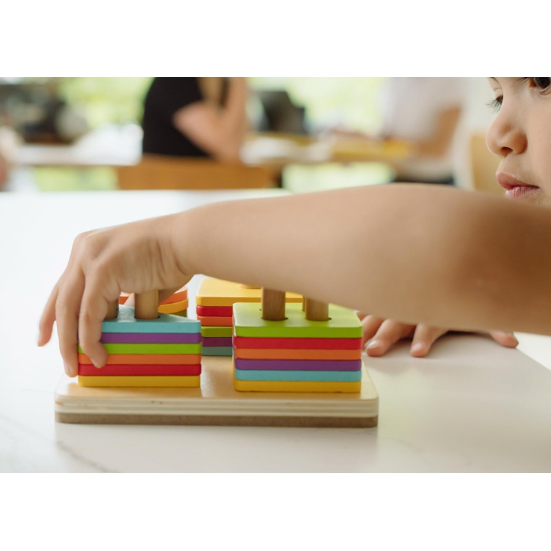 Chuckle & Roar - Montessori Sort & Stack Puzzle -