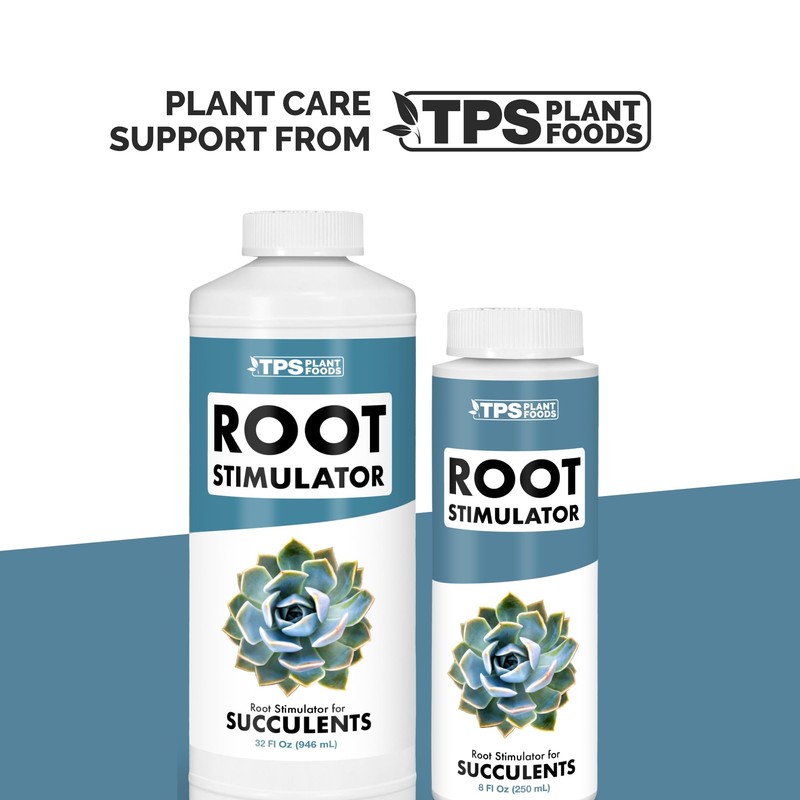 Root Stimulator for Succulents – Liquid Root Supplement with Kelp