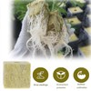 Gloryit Pack of 50 Rock Wool Cultivation, Rockwool Cubes, Rock