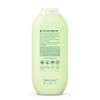 Method Body Wash, Daily Zen, 18 Ounce (Pack of 2)