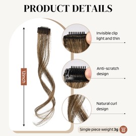 Flufymooz Side Air Bangs,2PCS Clip in Bangs Front Side Bangs ，Bangs Hair Clip on Fringe Bangs with Temples Synthetic Long Dragon beard Bangs Hair 12 inch （Dark Ash Blonde）