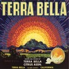 ART.COM Stretched Canvas Print Terra Bella Brand - Terra Bella,