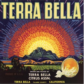 ART.COM Stretched Canvas Print Terra Bella Brand - Terra Bella, California - Citrus Crate Label by Lantern Press, 24" x 24"
