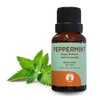GuruNanda Peppermint Essential Oil - Aromatherapy - GCMS Tested &
