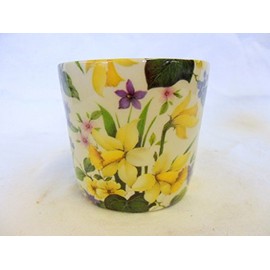 spring daffodil small sugar Bowl