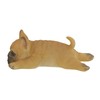 Lid Sanpun Matsuwan (French Bulldog)