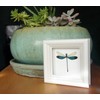Real Dragonfly Insect Display Taxidermy Art - Damselfly