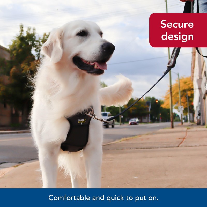 Coastal Pet Walk Right Front-Connect No-Pull Padded Dog Harness -