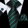 Hi-Tie Black Tie Emerald Green Tie Silk Extra Long 70''