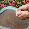 Summit Mosquito Dunks - Eco-Friendly Larvae Control 6-Pack