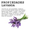 Aceite Masaje Relajante Lavanda Menta 4 L Tamaño Spa