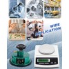 NEWTRY 1000g/0.01g Electronic Fabric GSM Scale Digital Textile Weight Balance