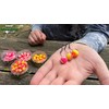 Haldorado Ronnie Rig Pop Up Carp Fishing Bait, 12 mm,