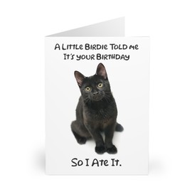 Humorous Black Cat Birthday Card - 'A Little Birdie Told Me' Joke, Perfect for Cat Lovers, Whimsical Birthday Fun, Blank Inside for Personal Message