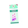 FMM Moth Orchid
