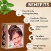 Herbul Henna Hair Dyes (Brown, 6 Sachets x 10 g
