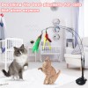 Qawrzzpr Interactive Cat Toy for Indoor Cats Retractable Wand 2Pole