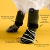 DOK TigerToes Premium Non-Slip Dog Socks for Hardwood Floors -