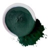Alga Espirulina 500 Gramos