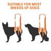 Paralyzed Dog Harness with Hind Leg Support - Small Sized