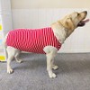Kukaster Pet Dog Bodysuit After Surgery Castration Male Wound Protection