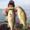 Megabass (メガバス) Lure BIG-M (ビッグエム) 7.5 GLX Galaxy Gill