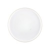EcoQuality 8 inch White Salad Plates with Gold Rim –