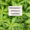 EDENA | Leche Corporal Verbena | Hidratante | Textura Ligera