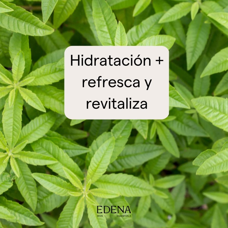EDENA | Leche Corporal Verbena | Hidratante | Textura Ligera