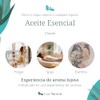 Uva Natural - Aceite Esencial Madame para Difusor Aire Fr?o