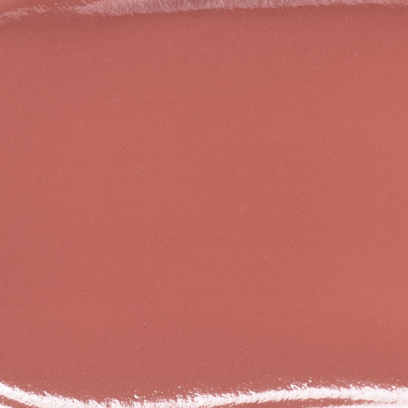 WAKEMAKE Water Blurring Layer Tint 6g - 02 Pairing Coral