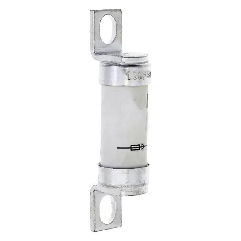 1 fusible tipo T 100FE (100 FEa) 100 A, 100