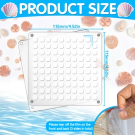 Erzekrim Acrylic Magnetic Seashell Display Box Seashell Storage Box 100 Grids Transparent Acrylic Seashell Storage Box Seashell Diamond Gemstone Beads Storage Display Organiser Box (100 Grids)