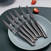 Seeshine Black Steak Knife Set, 6 Piece Stainless Steel Kitchen