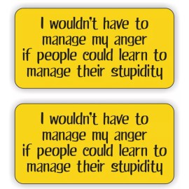 Unbranded/Generic Hard Hat Stickers | MANAGE MY ANGER | Funny Helmet Decals Pegatinas Labels Badge